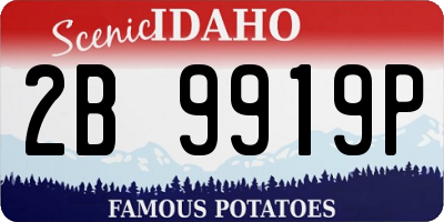 ID license plate 2B9919P