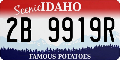 ID license plate 2B9919R