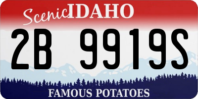 ID license plate 2B9919S