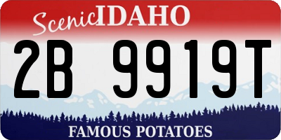 ID license plate 2B9919T