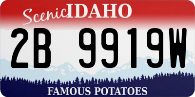 ID license plate 2B9919W