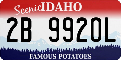 ID license plate 2B9920L