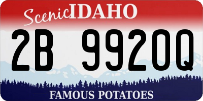 ID license plate 2B9920Q