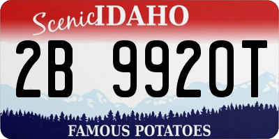 ID license plate 2B9920T
