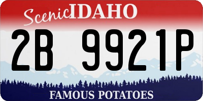 ID license plate 2B9921P