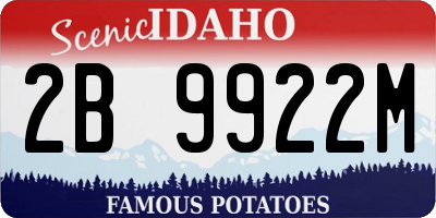 ID license plate 2B9922M