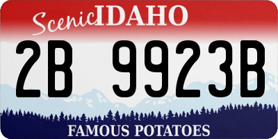 ID license plate 2B9923B