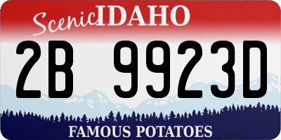ID license plate 2B9923D