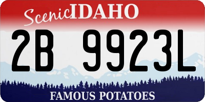 ID license plate 2B9923L