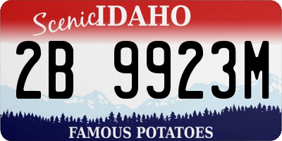 ID license plate 2B9923M