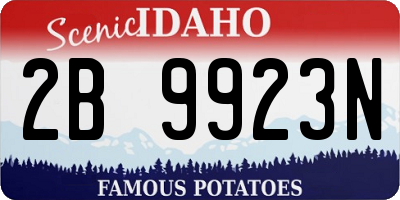 ID license plate 2B9923N