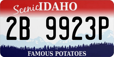 ID license plate 2B9923P
