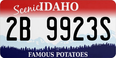 ID license plate 2B9923S