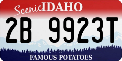 ID license plate 2B9923T