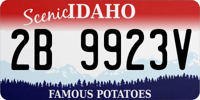 ID license plate 2B9923V