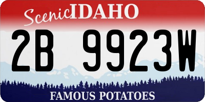 ID license plate 2B9923W