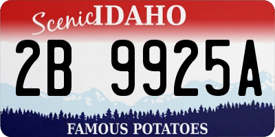 ID license plate 2B9925A