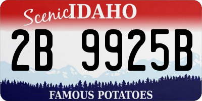 ID license plate 2B9925B