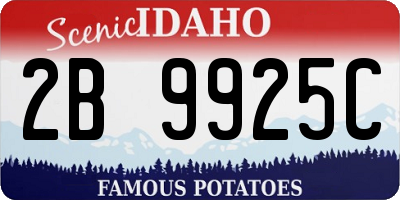 ID license plate 2B9925C