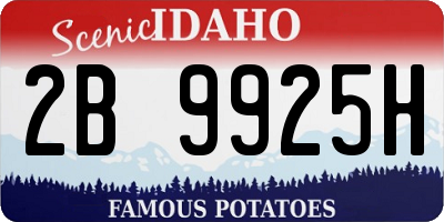 ID license plate 2B9925H