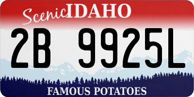 ID license plate 2B9925L