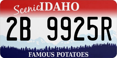 ID license plate 2B9925R