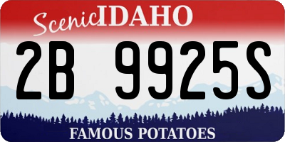ID license plate 2B9925S