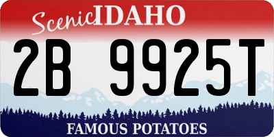 ID license plate 2B9925T