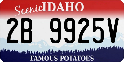 ID license plate 2B9925V