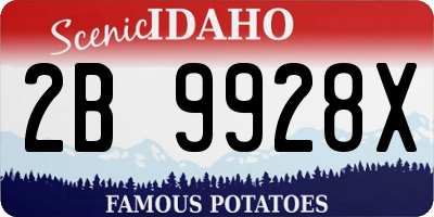 ID license plate 2B9928X
