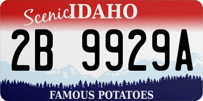 ID license plate 2B9929A