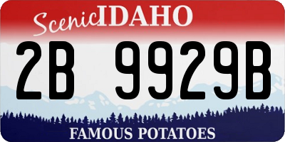 ID license plate 2B9929B