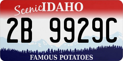 ID license plate 2B9929C