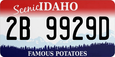 ID license plate 2B9929D