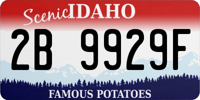 ID license plate 2B9929F