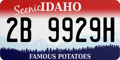 ID license plate 2B9929H