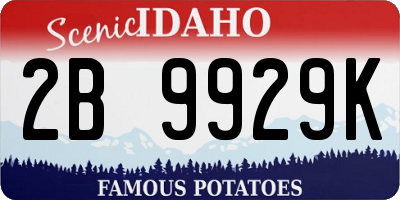 ID license plate 2B9929K