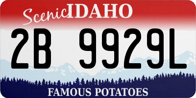 ID license plate 2B9929L