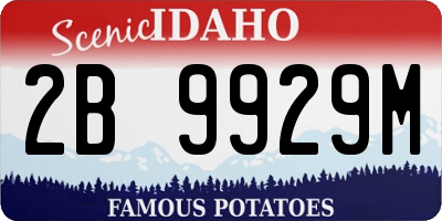 ID license plate 2B9929M