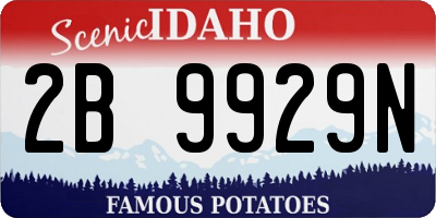ID license plate 2B9929N