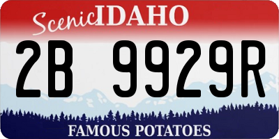 ID license plate 2B9929R