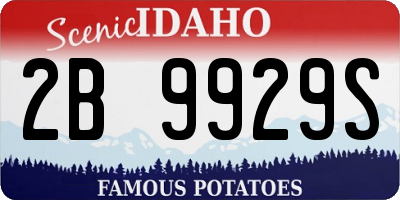 ID license plate 2B9929S