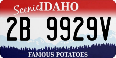 ID license plate 2B9929V