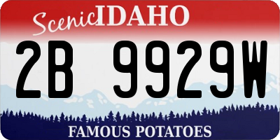 ID license plate 2B9929W