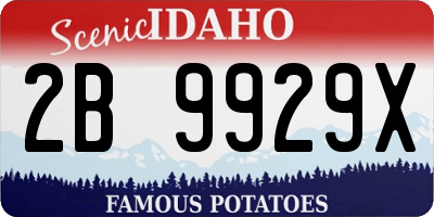 ID license plate 2B9929X