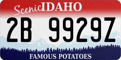 ID license plate 2B9929Z