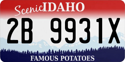 ID license plate 2B9931X