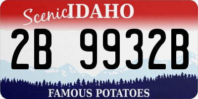 ID license plate 2B9932B
