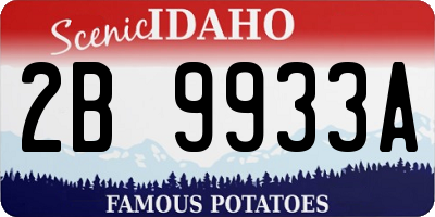 ID license plate 2B9933A