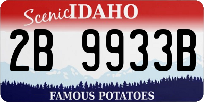 ID license plate 2B9933B